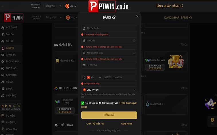 Những thông tin cần điền để đăng ký ptwin